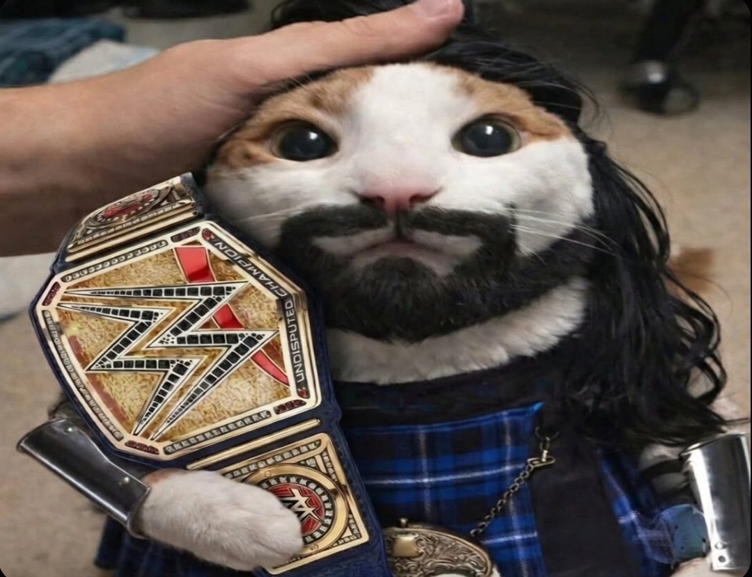 Maverick The Heel 👁️ tweet media