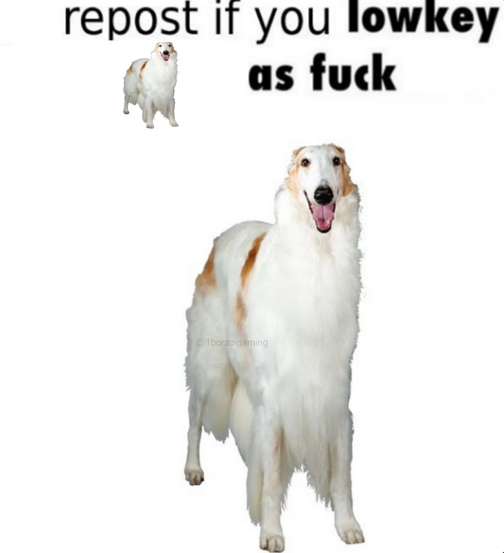 i drink soup (@soupyfur) on Twitter photo 