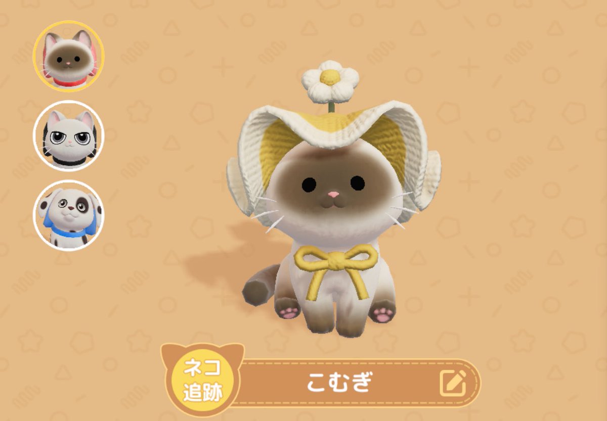 𝚣𝚛𝚖 tweet media