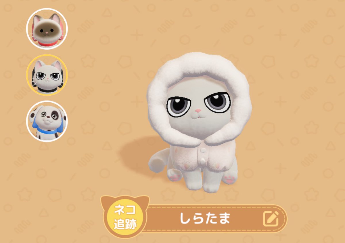 𝚣𝚛𝚖 tweet media