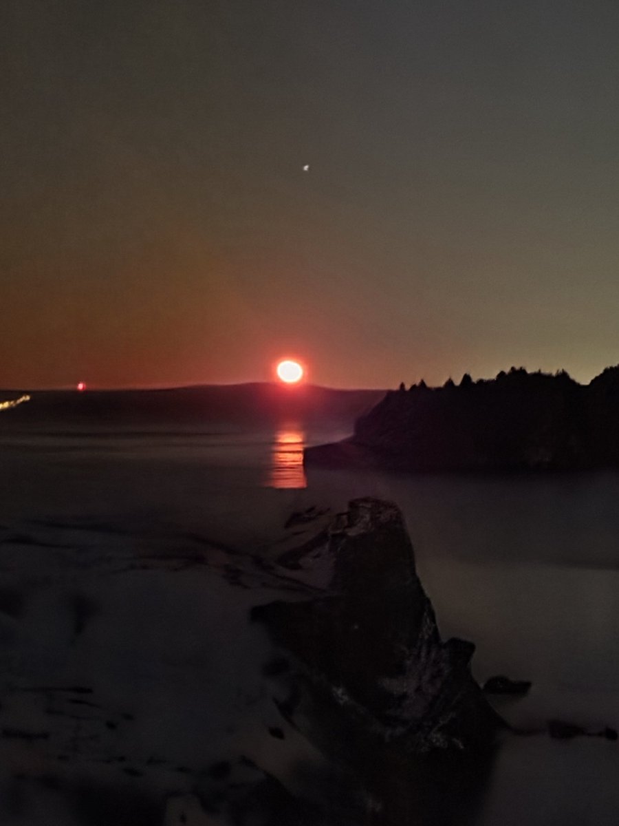 Jim Case tweet media