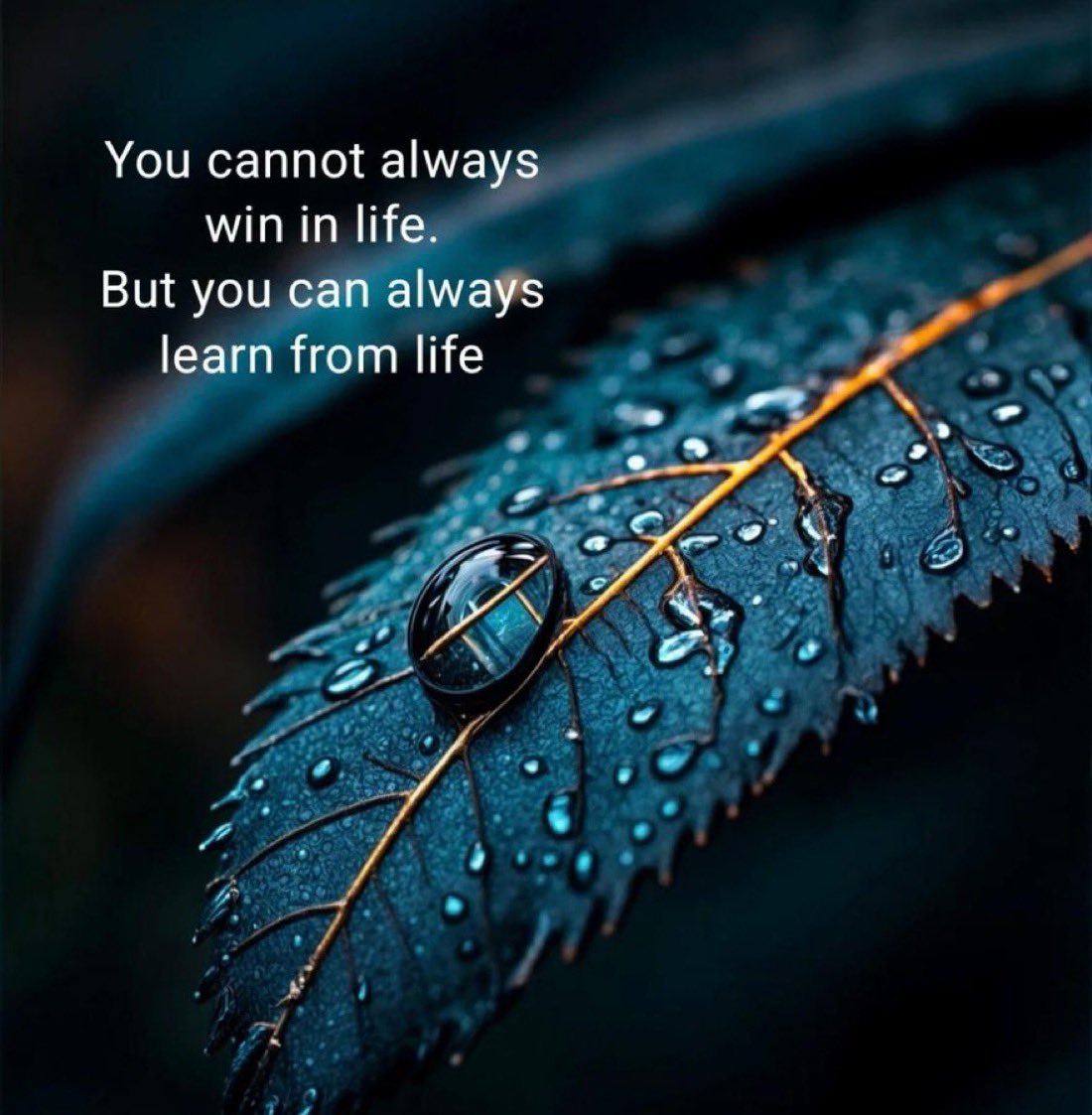 RashTechAI's tweet photo. Win or lose, You should believe in giving your best and that is what you always do. https://t.co/r35ZUbr5mm