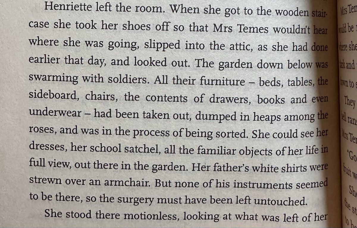 Connor H tweet media