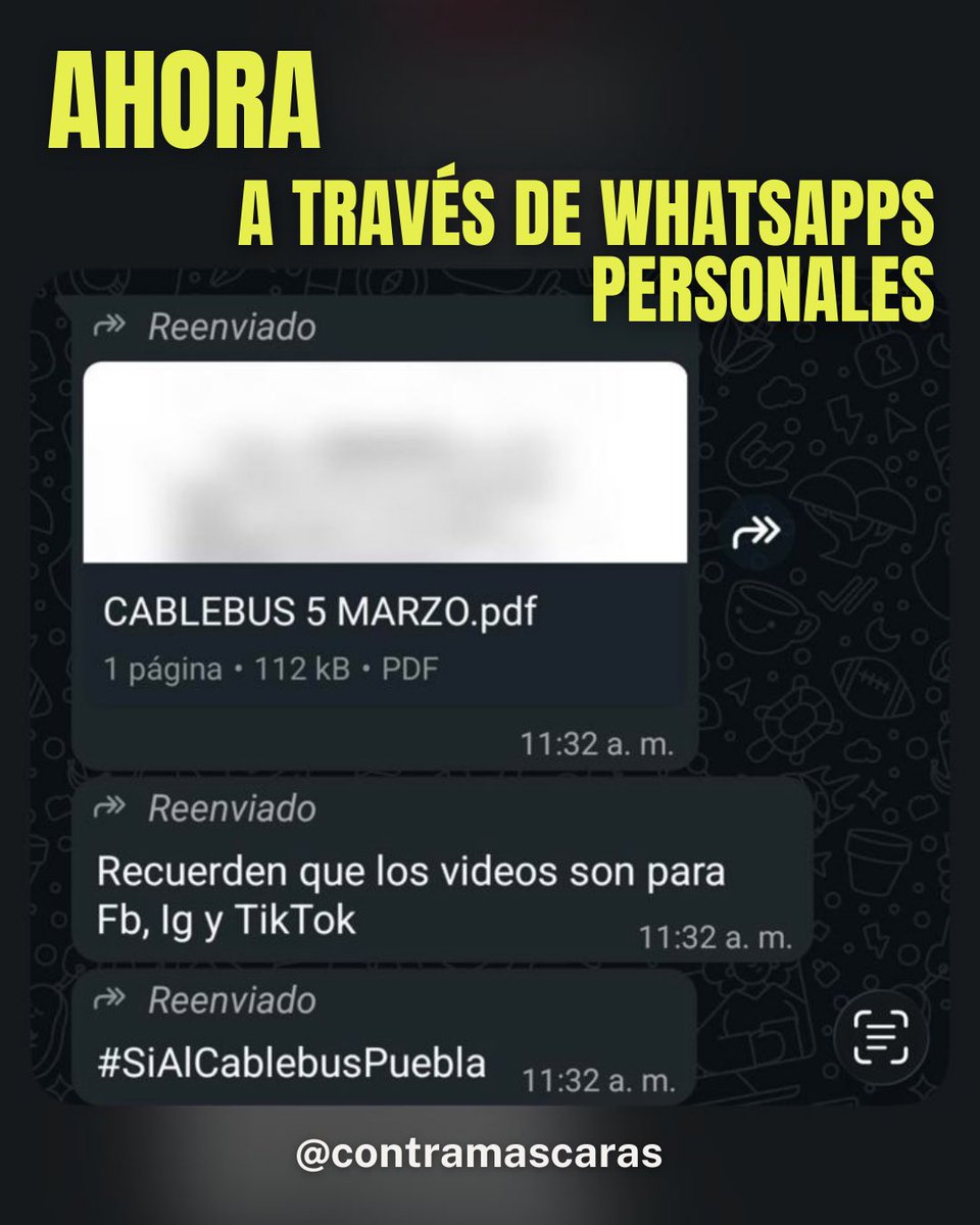 ContraMascaras tweet media