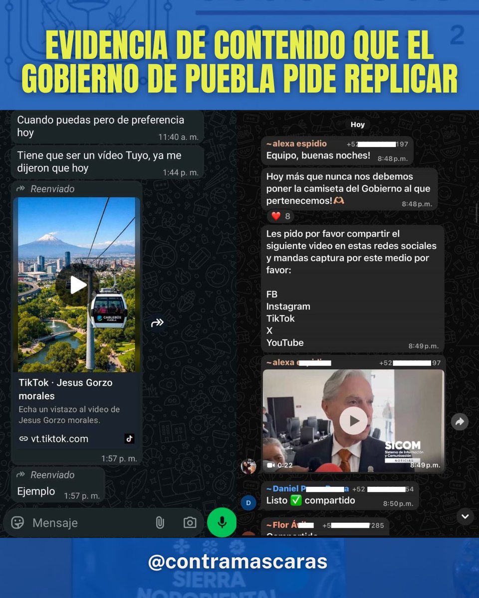 ContraMascaras tweet media