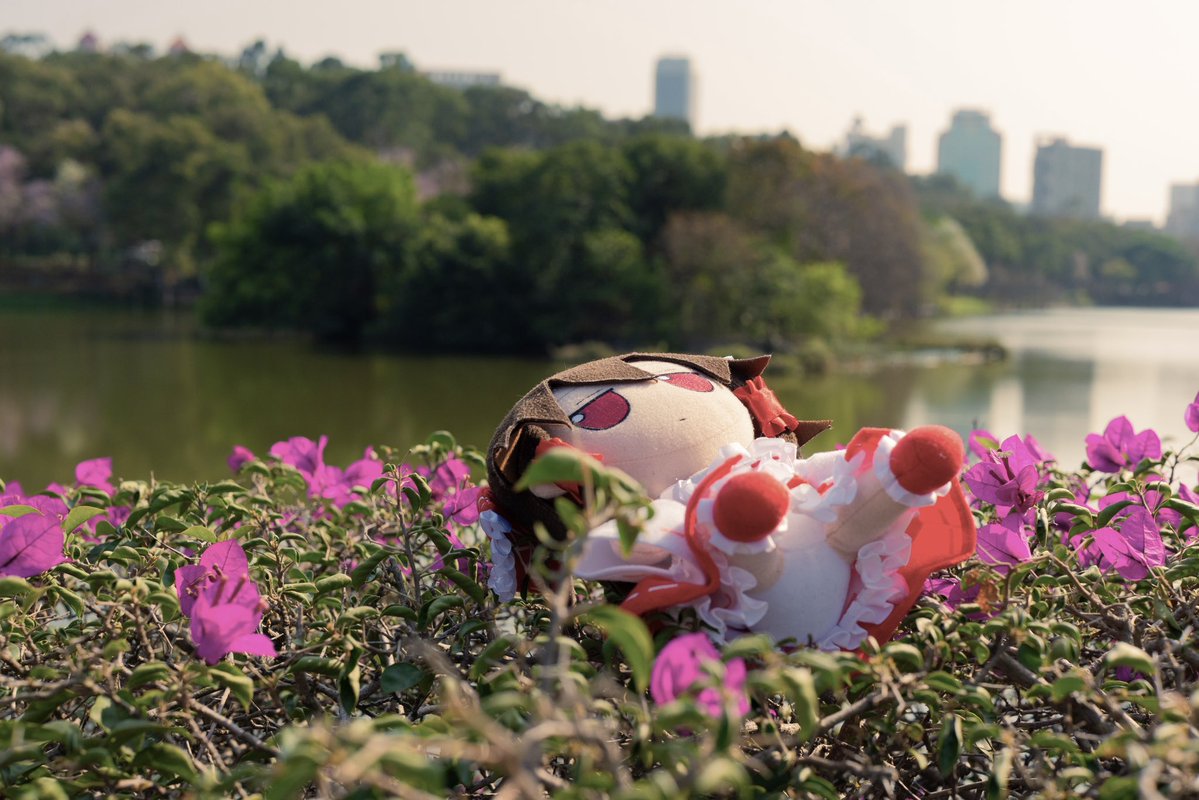 Akira-fumoharvester tweet media