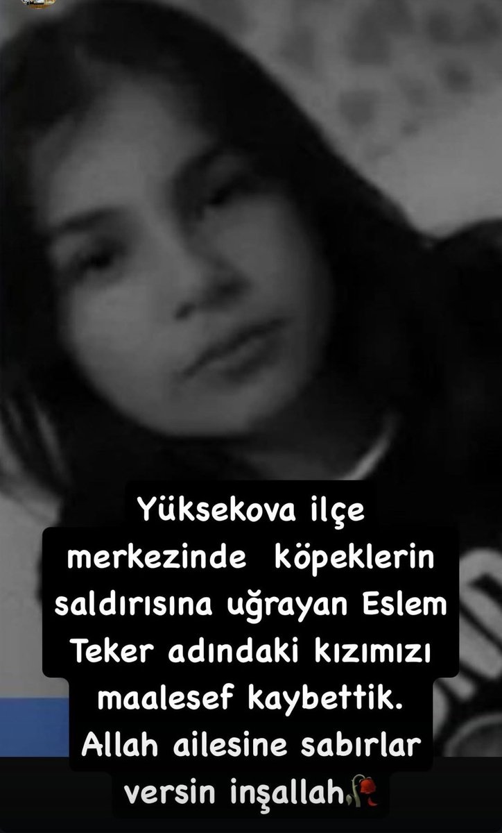 <a href="/gokhanagdemir/">Av.Gökhan Ağdemir</a> köpekler çocukları gençleri yaşlıları parçalamasın diye mücadele ediyor insan hakkı hayvan refahı olur diyen değerli saygı duyulacak bir hukukçudur <a href="/Av_MeltemZorba/">Av. Meltem Zorba</a>.siz bu çocukların hakkını arayın lütfen hayvanlarıda sosyal medyada dilendirip geçim kaynağı yapanların kabusu olun