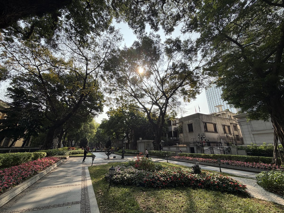 Kenji-san tweet media