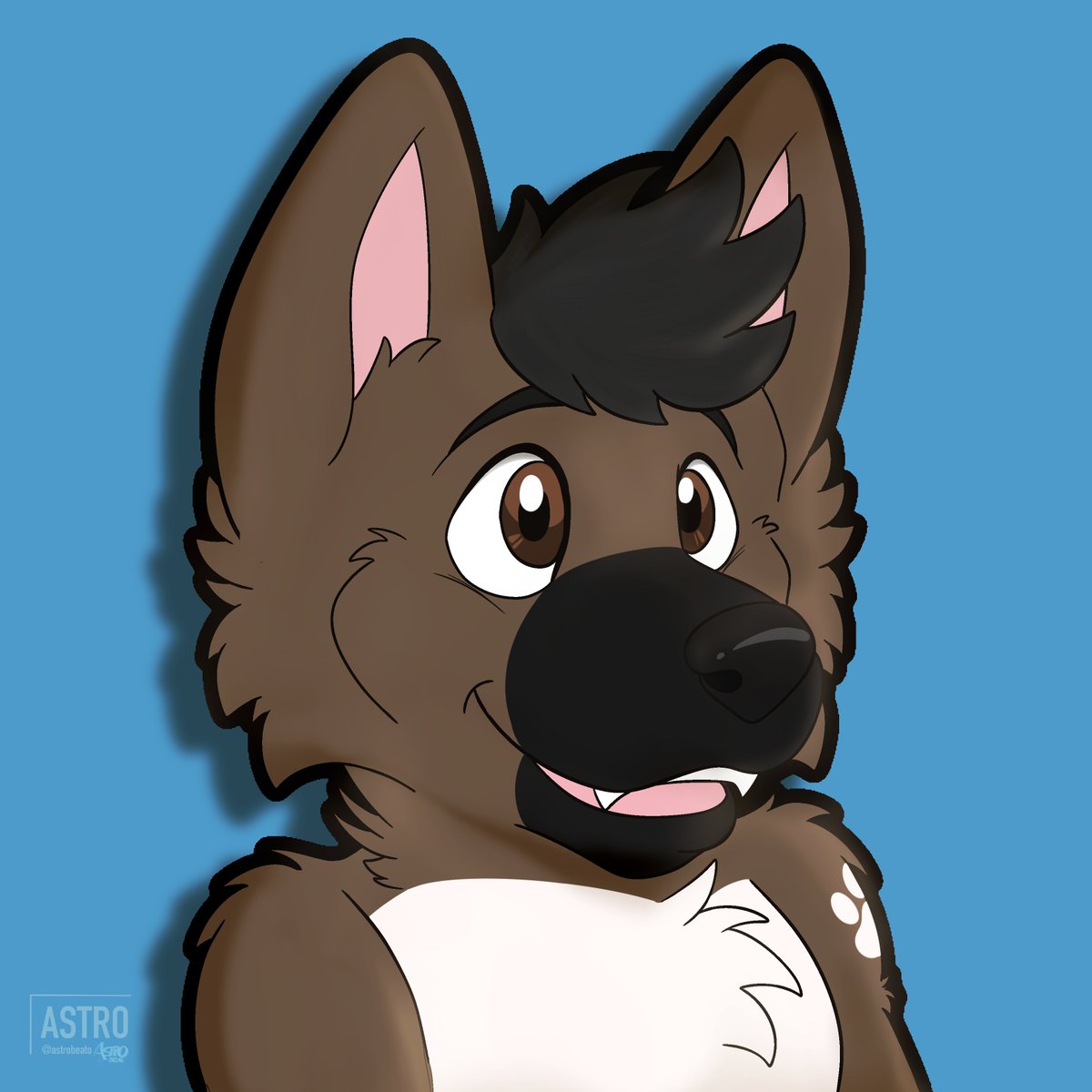 El Arte del Perro Leal 🇩🇴 tweet media