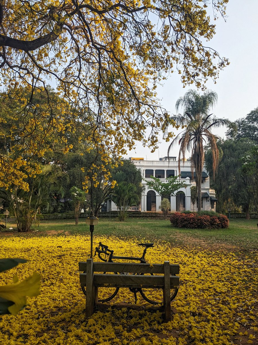 the avinasha tweet media