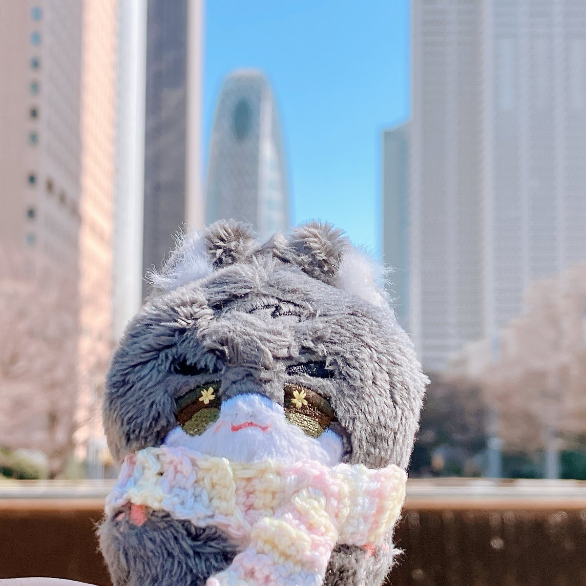 👤 マヴランイちゃん、お外気持ち良いね。ポーチから出て日向ぼっこする？

🐺 そうだね、出てみようかな…オーナー、お日様気持ちいいね☺️

👤 新宿の公園、景色が不思議で面白いね〜