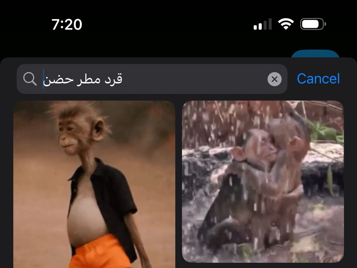 ـدن tweet media