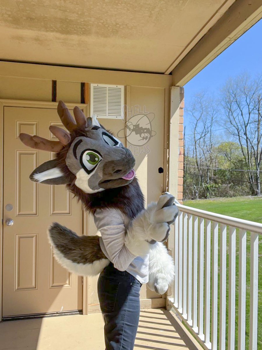 Shellsews Fursuits @ sparky + fallout! tweet media