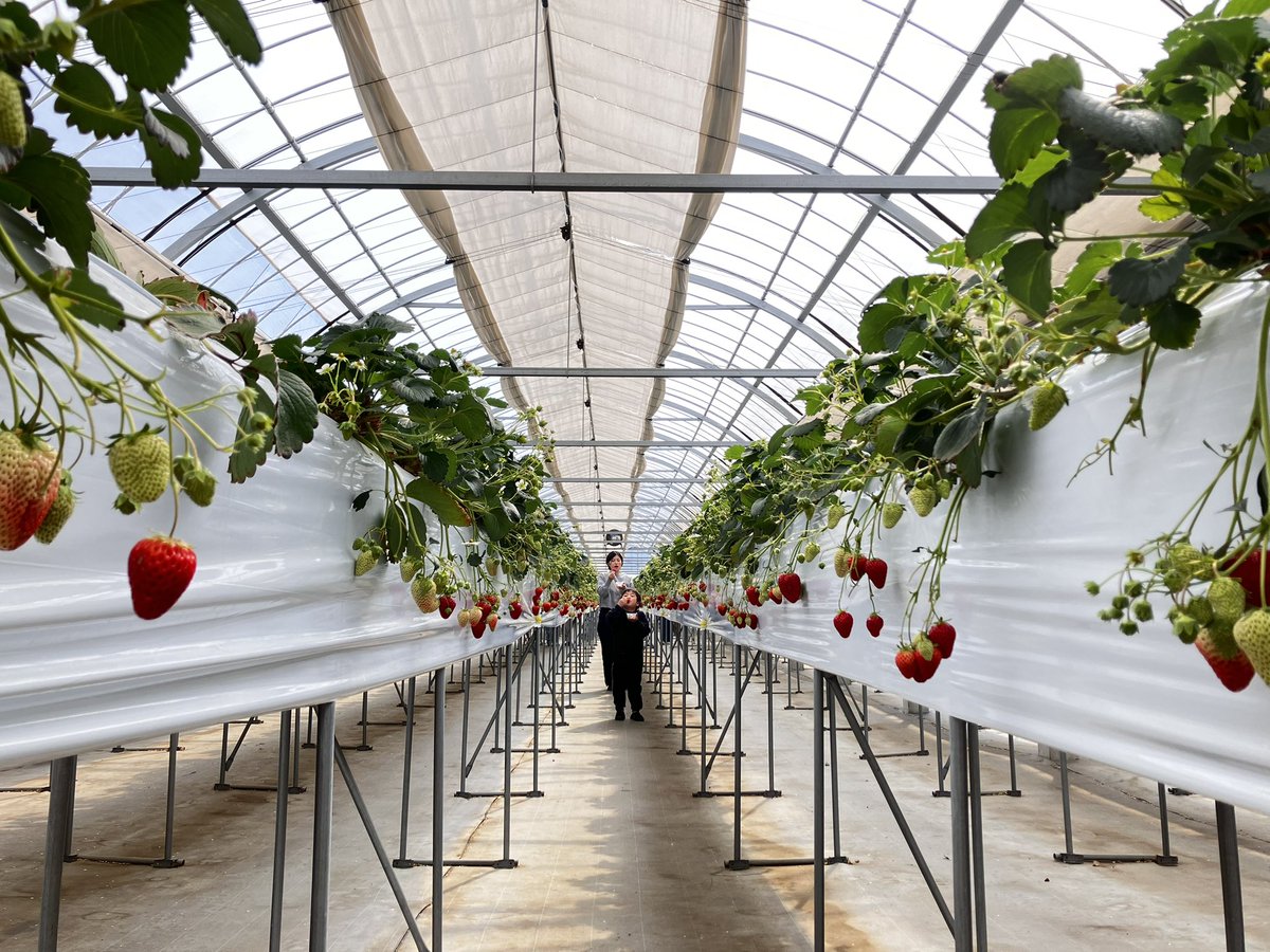 「　」は変なおじさん tweet media