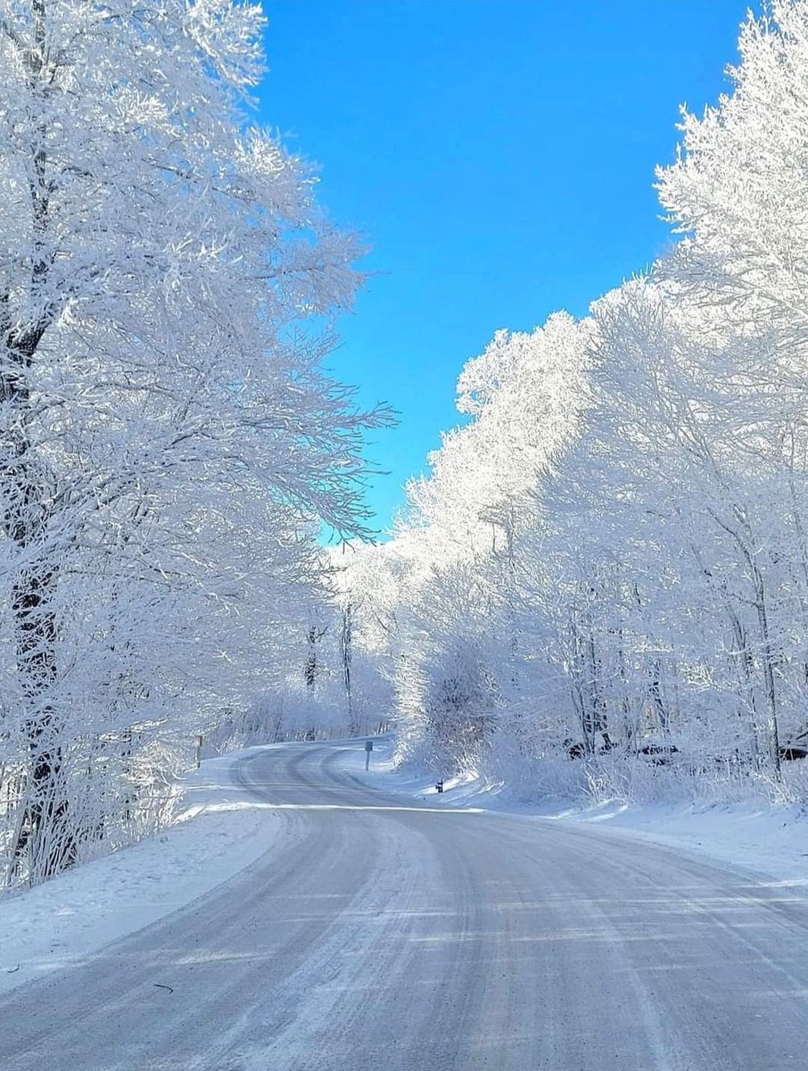 purenature_1's tweet image. White and blue love 🤍🩵💙 #relaxing