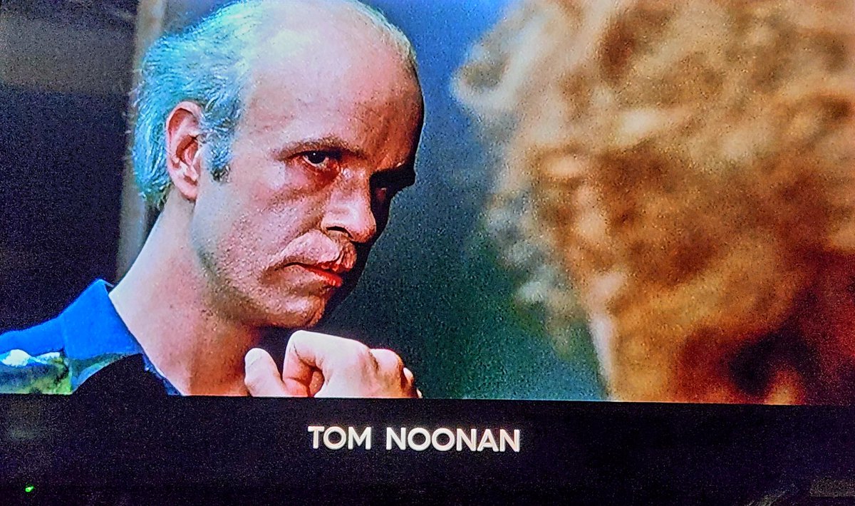 birdie 🕊 tweet media