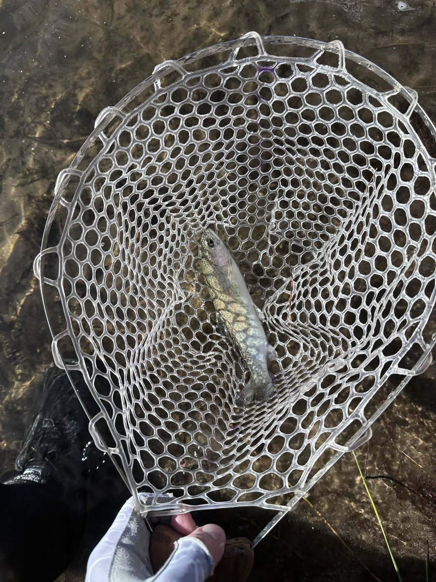 toddewiest's tweet photo. Itโs been too long โ 5 months is too long for me! Worked hard for 1st one and the 2nd. Last only 10 minutes later. Know where Iโm going tomorrow morning! Tightline to the indicator for the win in high water
#simmsfishing #troutfishing #flyfishing #troutbum @troutbitten https://t.co/BTNSNYrpqA