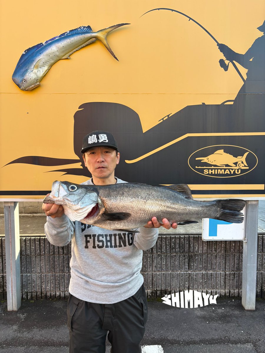 フィッシングショップ嶋勇 tweet media