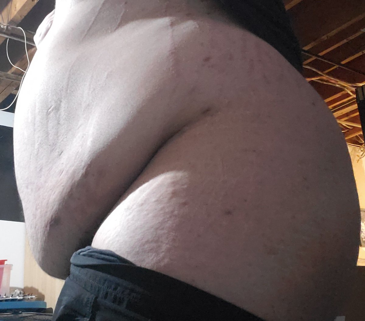 LoafNasty's tweet photo. 300lbs of fox fat heh https://t.co/KoMtNtP6Cm