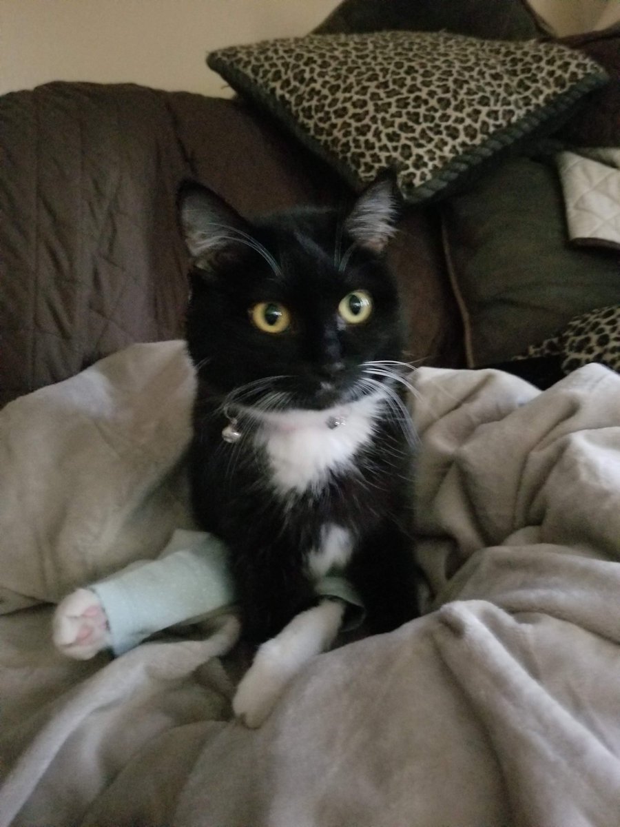 🌺Flower Fancy Pants!🌺 tweet media