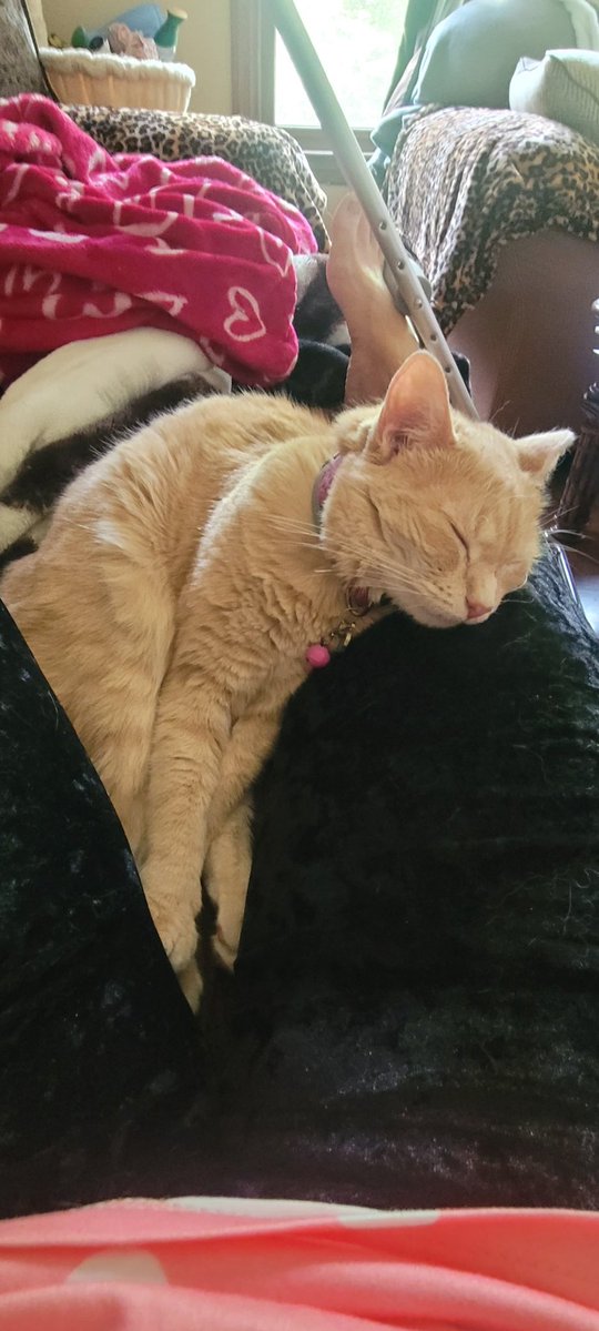 🌺Flower Fancy Pants!🌺 tweet media