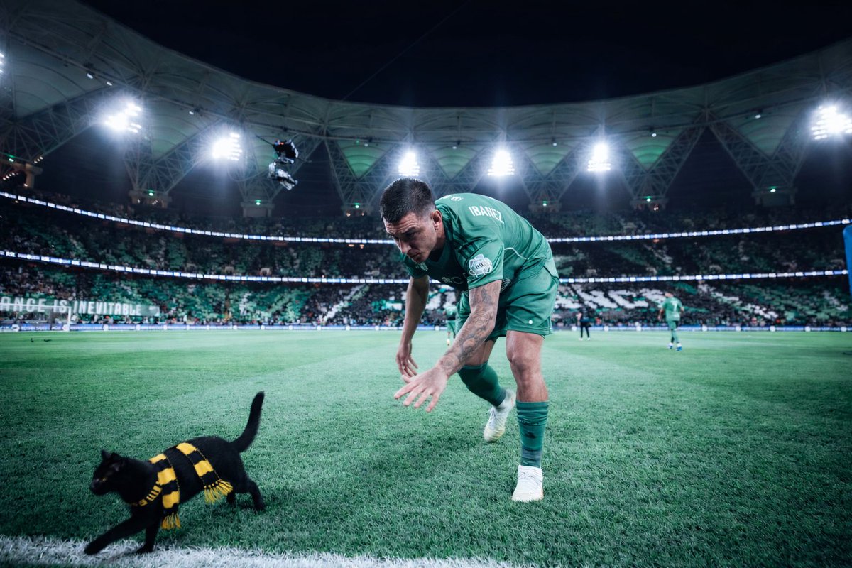 Pacific Coast tweet media