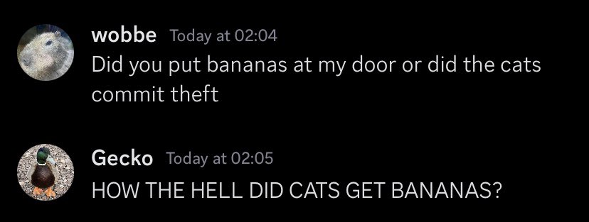 ⋆ ⭒ ❀ Ash ❀ ⭒ ⋆ tweet media