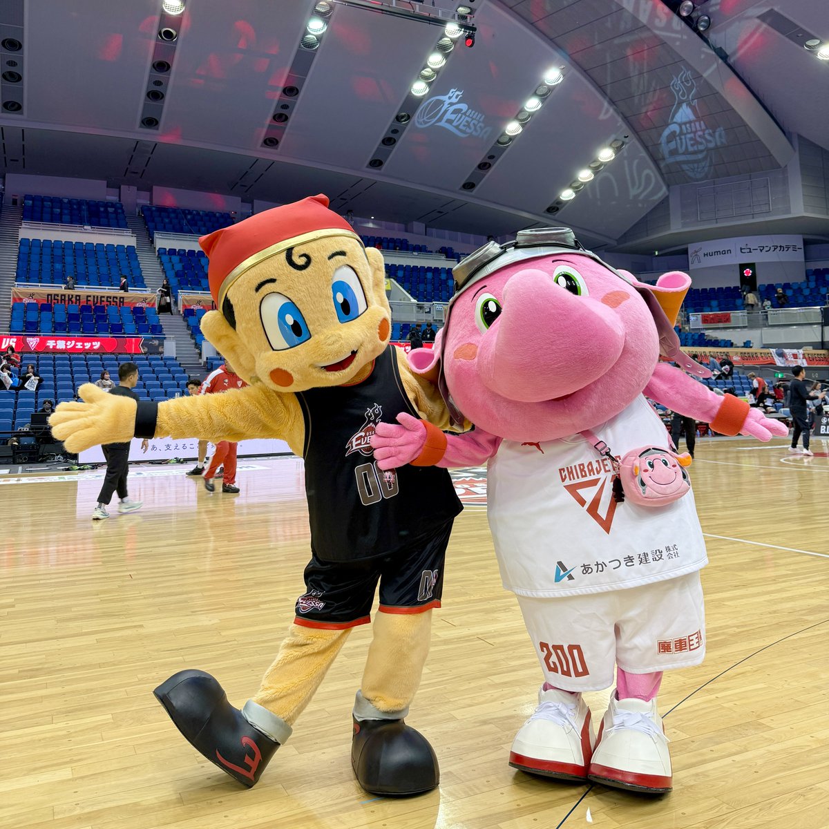 公式】ジャンボくん(千葉ジェッツ) (@Jumbokun_GOJETS) / Posts / X