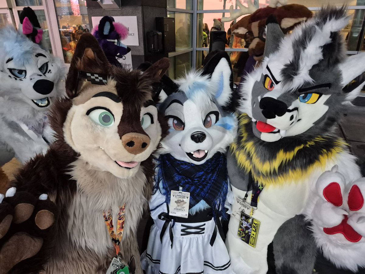 Amarok Husky tweet media