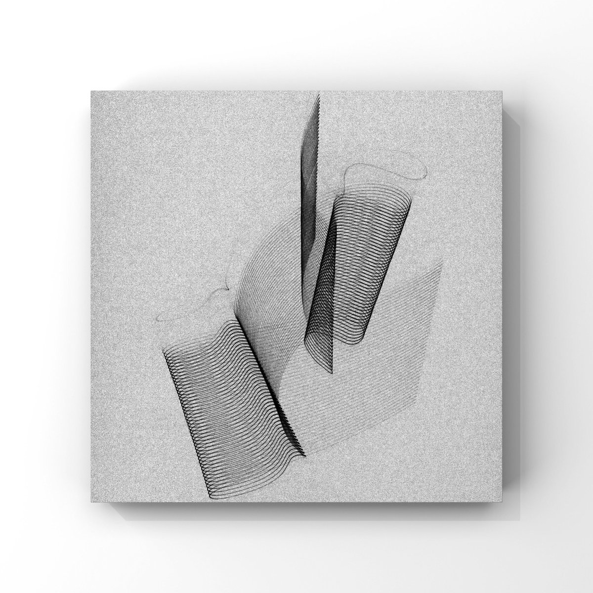 イソ|#ISO1638400 tweet media