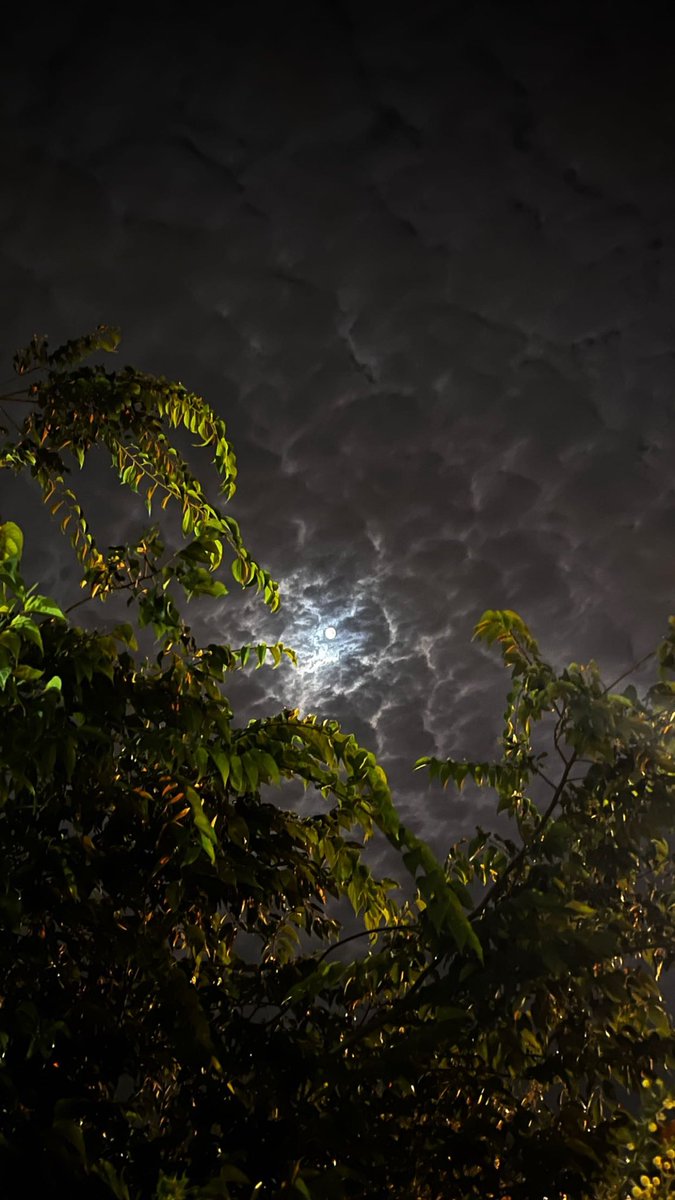 عبدالرحمن (@xinvail_) on Twitter photo 