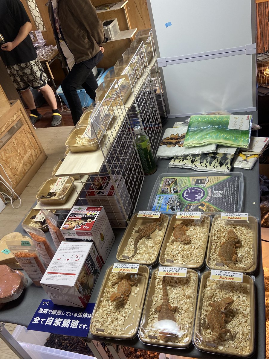 MOLTING BASE tweet media