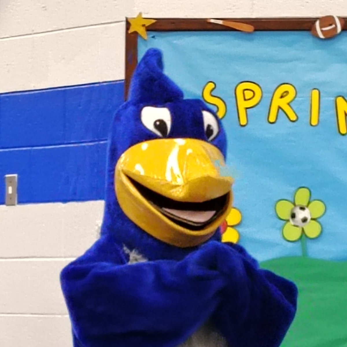 Sandy Morales 🇱🇷 tweet media