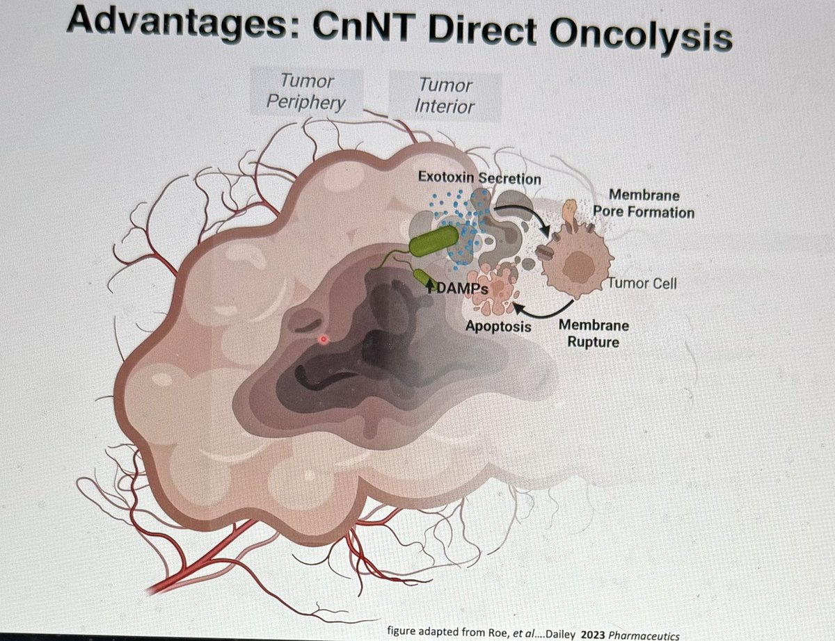 weldeiry's tweet photo. Great presentation today at the #LegorretaCancerCenter Cancer Biology Program meeting by @KMDaileyPhD,
Assistant Professor, Dept. of Biomedical & Pharmaceutical Sciences, URI
Faculty Scholar, Rhode Island IDeA Network of Biomedical Research
Excellence (RI-INBRE) on “Changing the Paradigm: Developing Clostridium novyi-NT as an Intravenous Pancreatic Cancer
Therapeutic.” @rwsobol