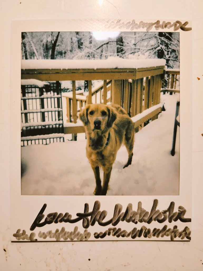 Benedict Kim tweet media