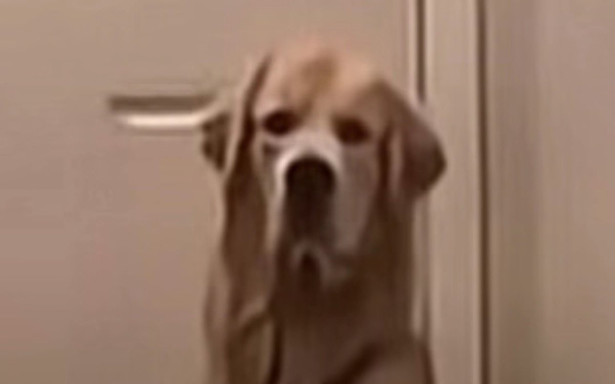 j sTr 𖤐 (@percasexx) on Twitter photo 