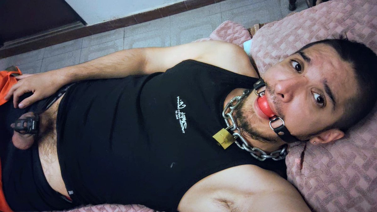 Pig Slave tweet media