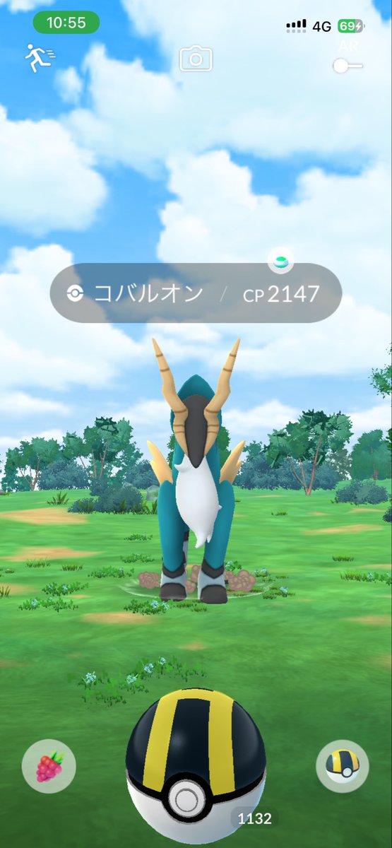 シルエラ tweet media