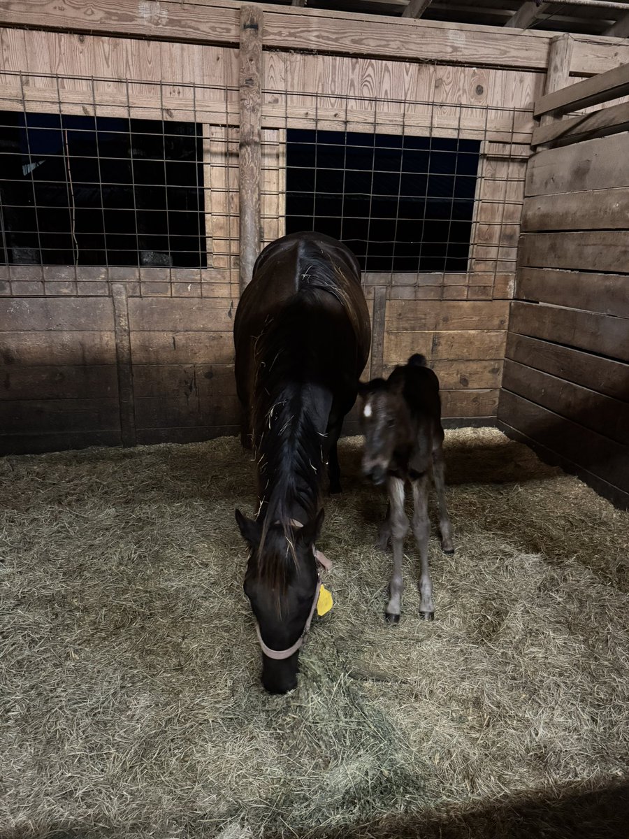 Holly Ramsey tweet media