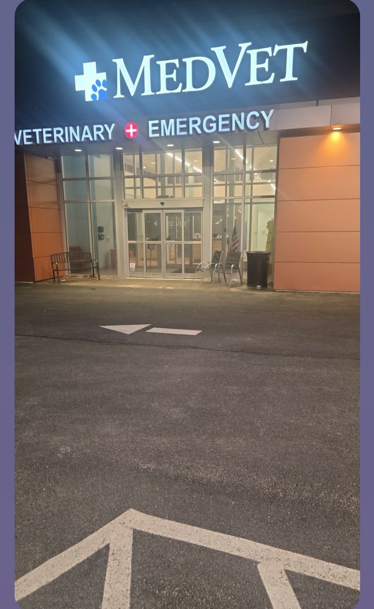 brownsugartra's tweet photo. If you pray please keep my little Pete in prayer. He had a seizure.  I'm officially falling apart.. https://t.co/8aagmXzmCB