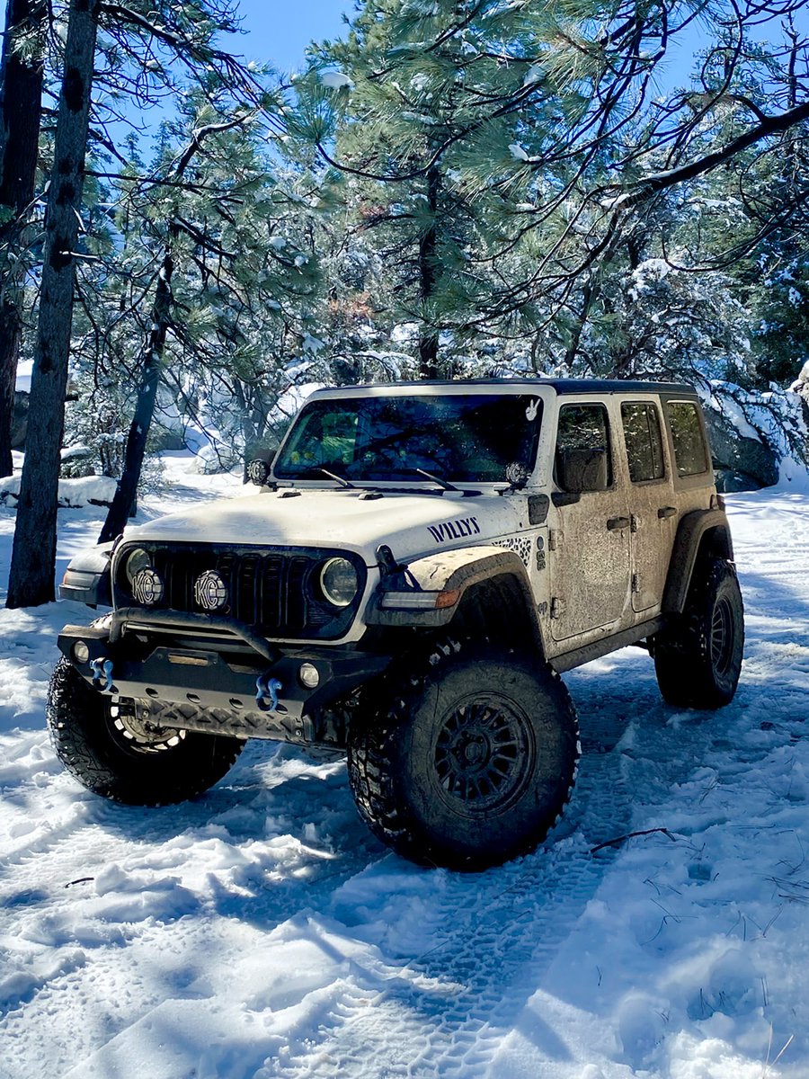 Fields CJDR IL tweet media