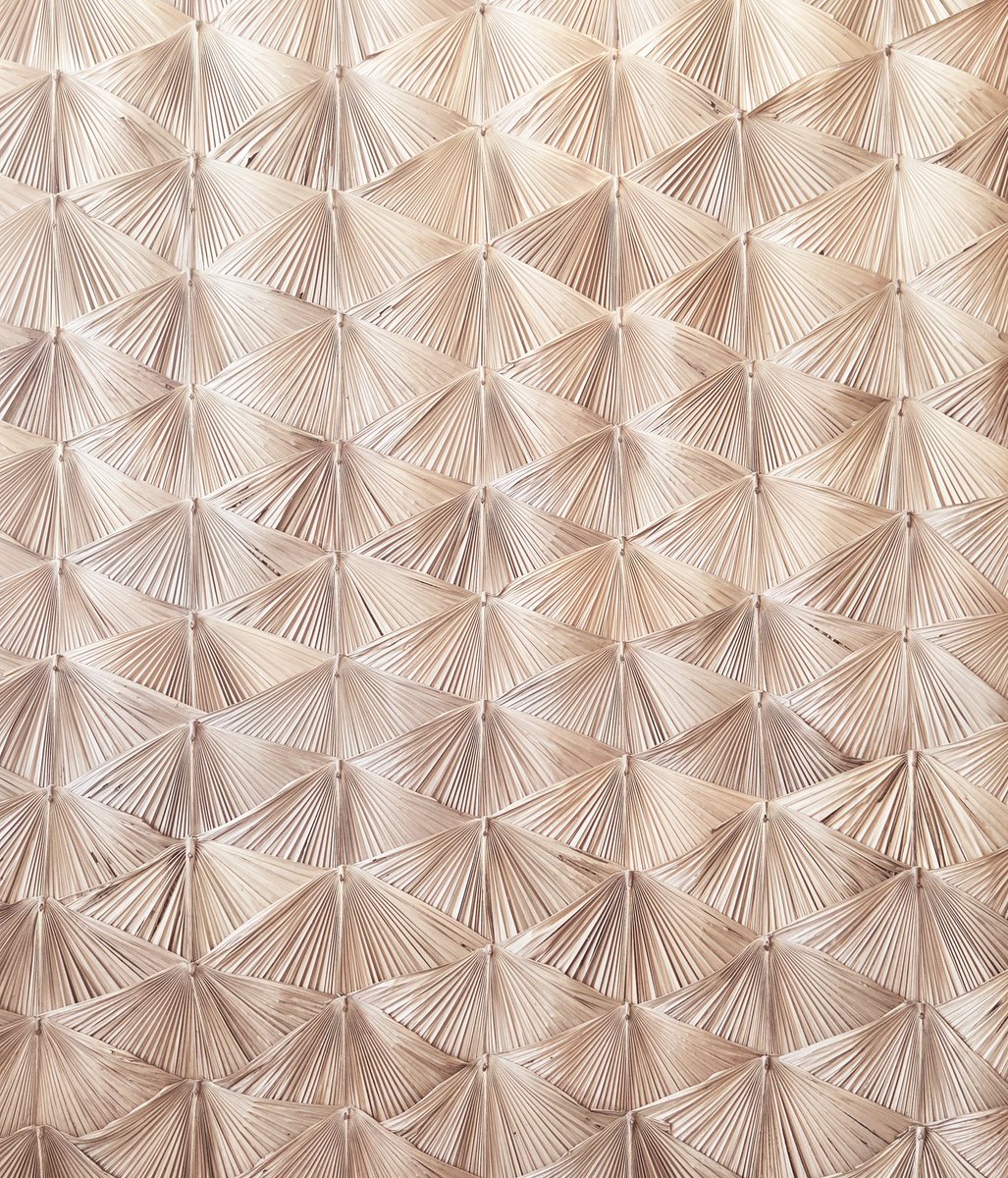 Dr. Pamela Cajilig tweet media