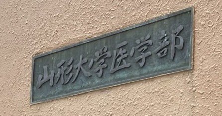 くわ浪 tweet media