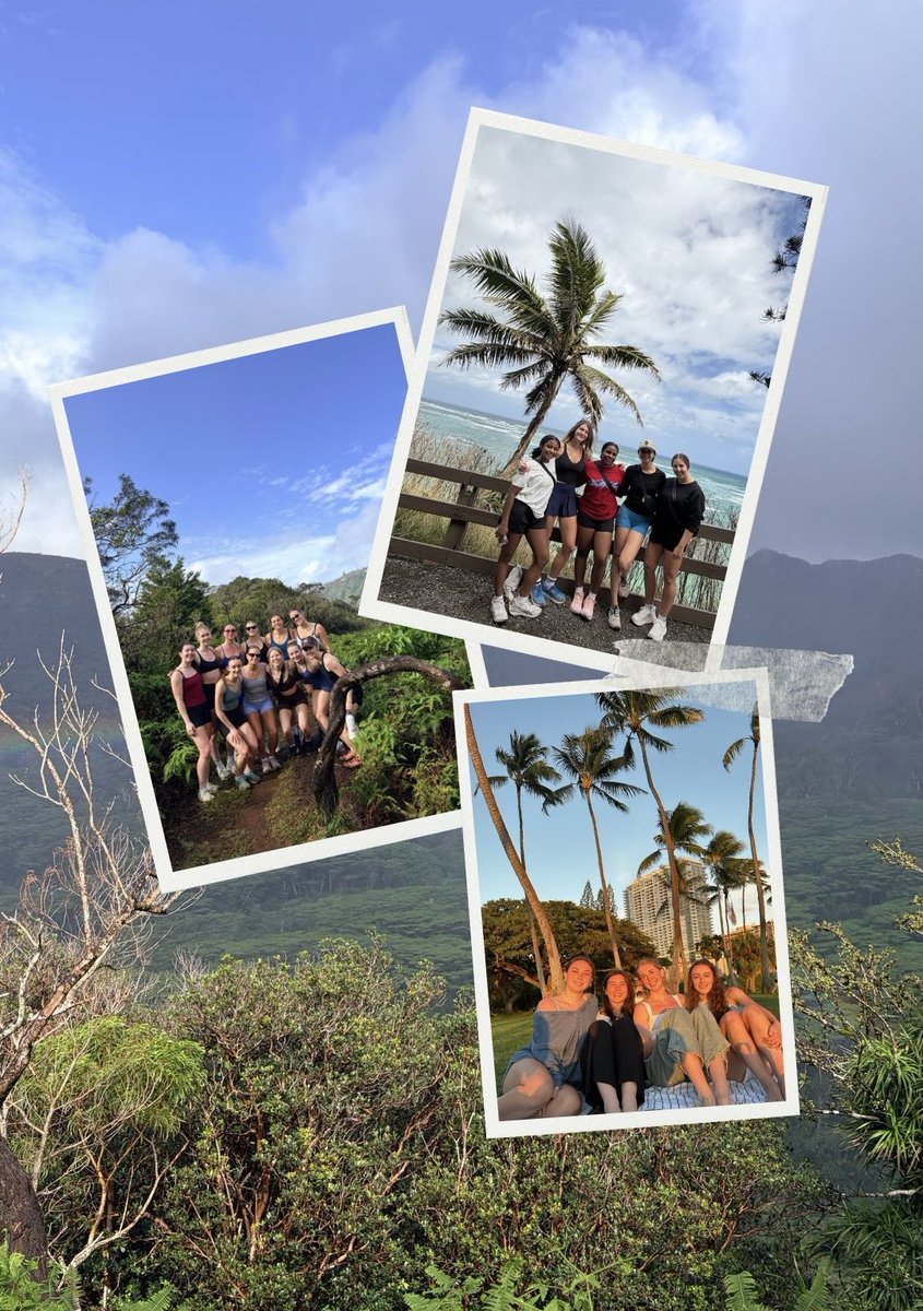 MacEwan Griffins Women's Soccer tweet media