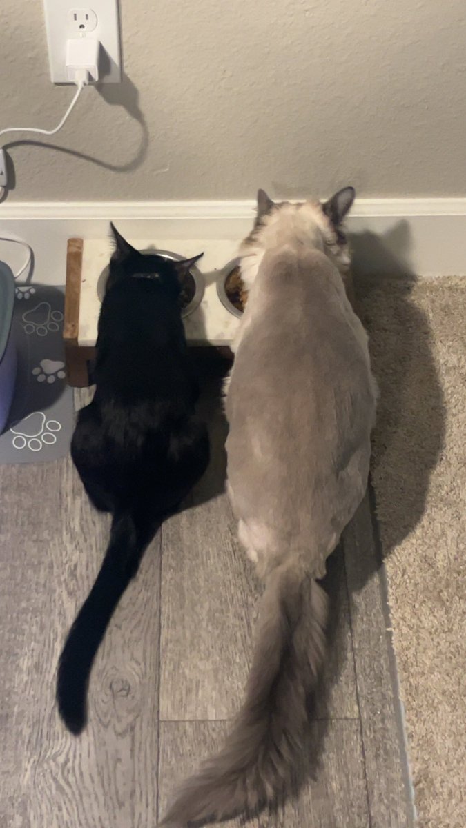 Juggs Mathis tweet media