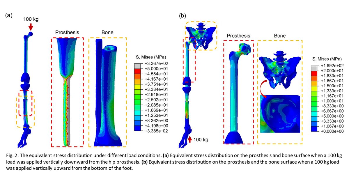 Bio-Design and Manufacturing tweet media