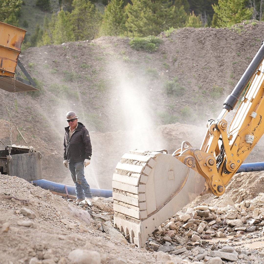 Gold Rush tweet media