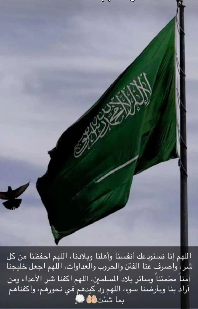 مقبل العلوي tweet media