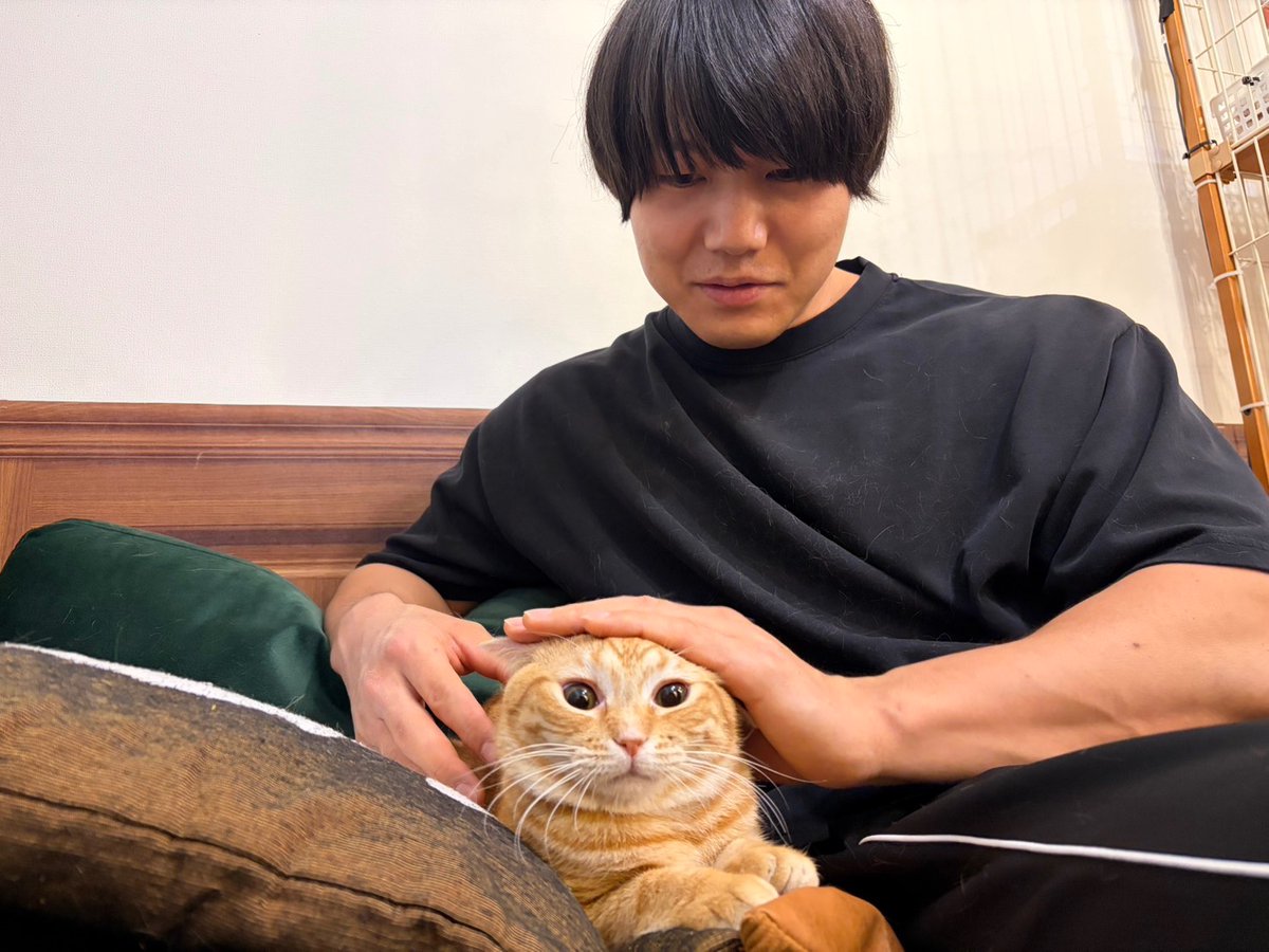 🍖リリィ🍙 (@rock_monsen888) / Posts / X