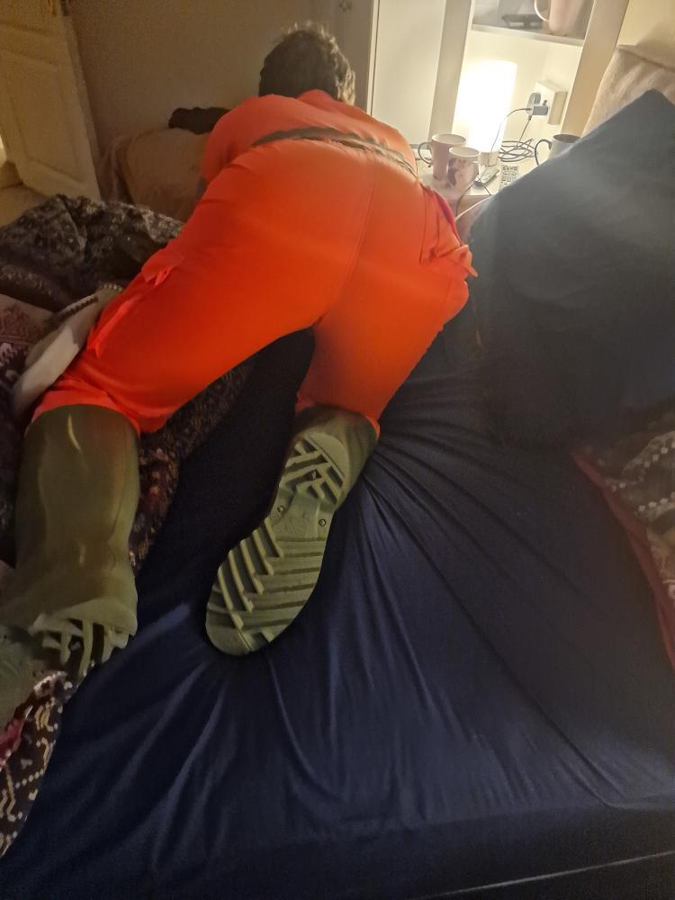 Irish Cowboy tweet media